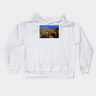 Colored woods Kids Hoodie